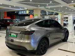 Tesla Model Y Rear-Wheel Drive - ფოტო 7