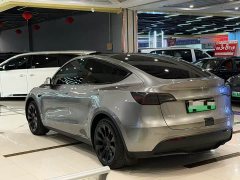 Tesla Model Y Rear-Wheel Drive - ფოტო 9
