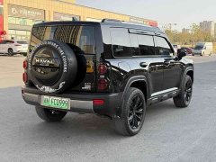 Haval Manlong New Energy Hi4 145 Adventure Edition - ფოტო 8