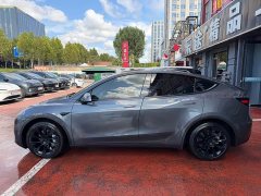 Tesla Model Y Rear-Wheel Drive - ფოტო 3