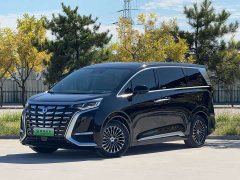 Denza BYD Denza D9 DM-i 980 Four-Wheel Drive Flagship - ფოტო 1