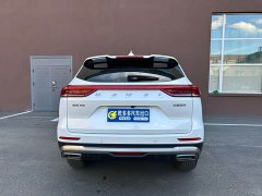 Haval H6 National Trend Edition 1.5T Automatic Champion Version - ფოტო 4