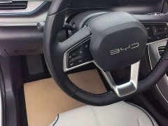 BYD Destroyer 05 Glory Edition DM-i 55KM Luxury - ფოტო 8