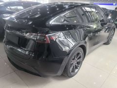 Tesla Model Y Rear-Wheel Drive - ფოტო 6