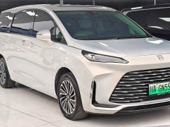 Buick GL8 New Energy Lusang Respect Edition - ფოტო 3