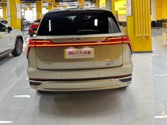 Great Wall WEY Blue Mountain Four-Wheel Drive Extended Range Version - ფოტო 5