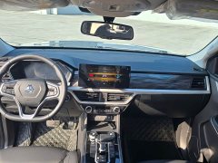 Bo Sheng Bosheng Commercial 2.0T Automatic Diesel 4WD Long Wheelbase Luxury Edition - ფოტო 5