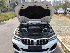 BMW 5 Series 530Li xDrive M Sport Package - ფოტო 10