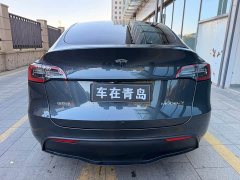 Tesla Model Y Rear-Wheel Drive - ფოტო 12