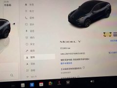 Tesla Model Y Rear-Wheel Drive - ფოტო 14