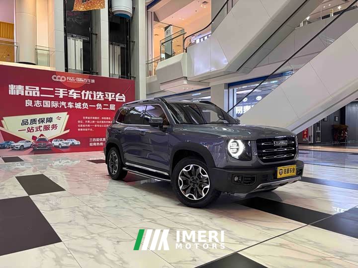 Great Wall Dachshund 2021 2.0T DCT Four-wheel Drive Howling Heavenly Dog Edition - ავტომობილი ჩინეთიდან