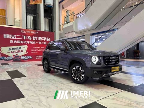 2022 Great Wall Dachshund 2021 2.0T DCT Four-wheel Drive Howling Heavenly Dog Edition - ავტომობილი ჩინეთიდან