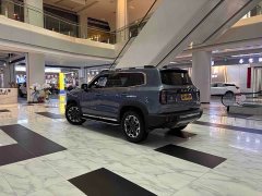 Great Wall Dachshund 2021 2.0T DCT Four-wheel Drive Howling Heavenly Dog Edition - ფოტო 8