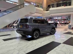 Great Wall Dachshund 2021 2.0T DCT Four-wheel Drive Howling Heavenly Dog Edition - ფოტო 9