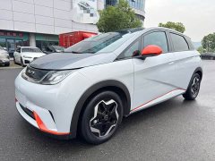 BYD Dolphin 405km Fashion Edition - ფოტო 1