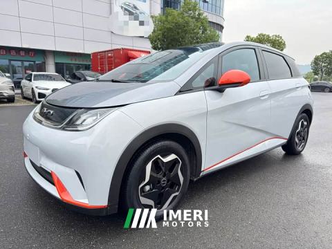 2022 BYD Dolphin 405km Fashion Edition