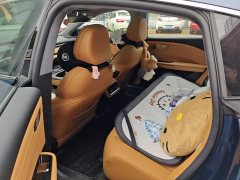 Geely Galaxy Xingyao 8 130km EM-P Explorer Edition - ფოტო 11