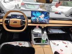 Geely Galaxy Xingyao 8 130km EM-P Explorer Edition - ფოტო 12