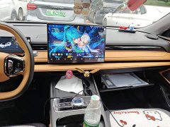 Geely Galaxy Xingyao 8 130km EM-P Explorer Edition - ფოტო 13