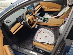 Geely Galaxy Xingyao 8 130km EM-P Explorer Edition - ფოტო 9
