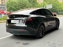 Tesla Model Y Rear-Wheel Drive - ფოტო 10