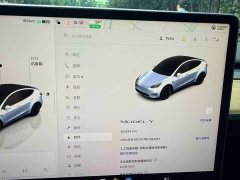 Tesla Model Y Rear-Wheel Drive - ფოტო 18