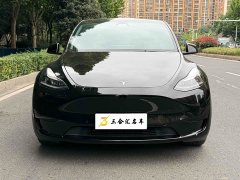 Tesla Model Y Rear-Wheel Drive - ფოტო 2
