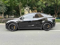 Tesla Model Y Rear-Wheel Drive - ფოტო 5