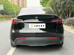 Tesla Model Y Rear-Wheel Drive - ფოტო 9