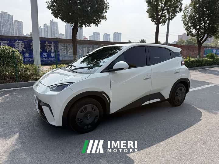 BYD Seagull Glory Edition 305km Freedom Version - ავტომობილი ჩინეთიდან