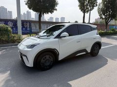 BYD Seagull Glory Edition 305km Freedom Version - ფოტო 1
