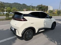 BYD Seagull Glory Edition 305km Freedom Version - ფოტო 10
