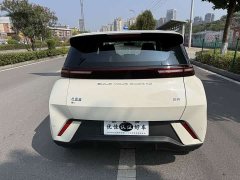 BYD Seagull Glory Edition 305km Freedom Version - ფოტო 11