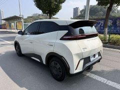 BYD Seagull Glory Edition 305km Freedom Version - ფოტო 12