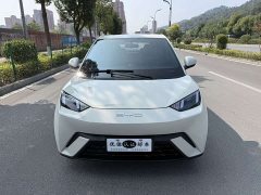 BYD Seagull Glory Edition 305km Freedom Version - ფოტო 2