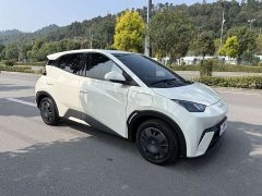 BYD Seagull Glory Edition 305km Freedom Version - ფოტო 3