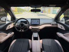 BYD Seagull Glory Edition 305km Freedom Version - ფოტო 5