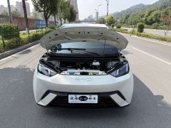 BYD Seagull Glory Edition 305km Freedom Version - ფოტო 8