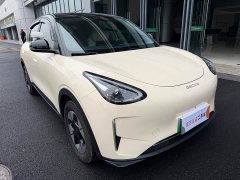 Geely Xing Yuan 310km Dream Edition - ფოტო 3