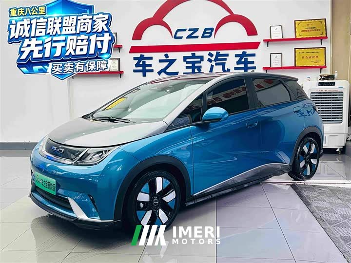 BYD Dolphin 401km Knight Edition