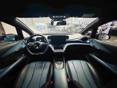 BYD Dolphin 401km Knight Edition - ფოტო 15