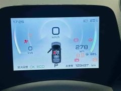 BYD Dolphin 401km Knight Edition - ფოტო 17