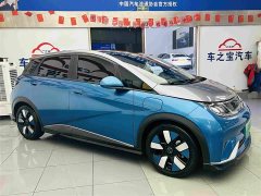 BYD Dolphin 401km Knight Edition - ფოტო 4