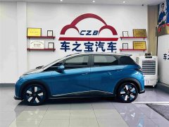 BYD Dolphin 401km Knight Edition - ფოტო 5