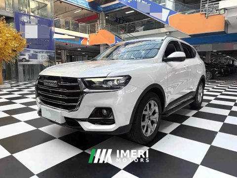 2022 Haval H6 2021 National Trend 1.5T Automatic Champion Edition - ავტომობილი ჩინეთიდან