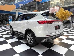 Haval H6 2021 National Trend 1.5T Automatic Champion Edition - ფოტო 17