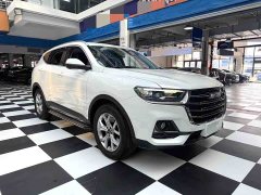 Haval H6 2021 National Trend 1.5T Automatic Champion Edition - ფოტო 3