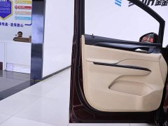 Buick GL8 ES Land Respect 653T Luxury - ფოტო 18