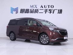 Buick GL8 ES Land Respect 653T Luxury - ფოტო 5