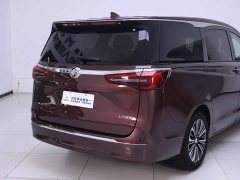 Buick GL8 ES Land Respect 653T Luxury - ფოტო 8